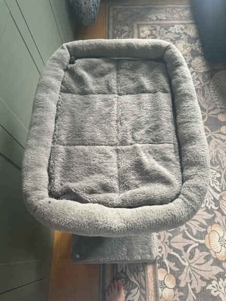 Photo of free Cat tree w/ ball perfect condition (Camberwell) #3