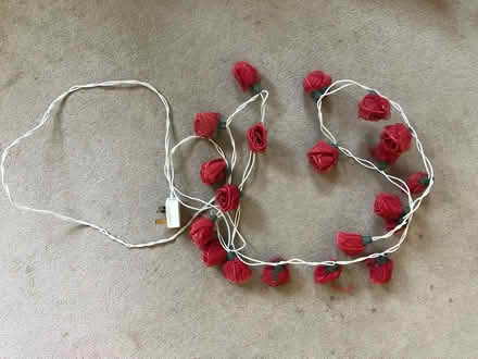 Photo of free Red rose lights (Brixton Hill SW2) #2