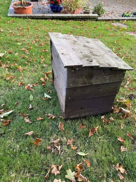 Photo of free Cat shelter (could convert to hedgehog house) (Merley BH21) #2
