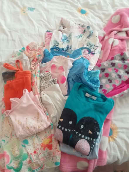 Photo of free Girl chlothes 4-6 years (South Norwood SE25) #1
