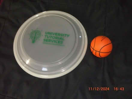 Photo of free frisbee and mini basketballl (Pleasantville) #1