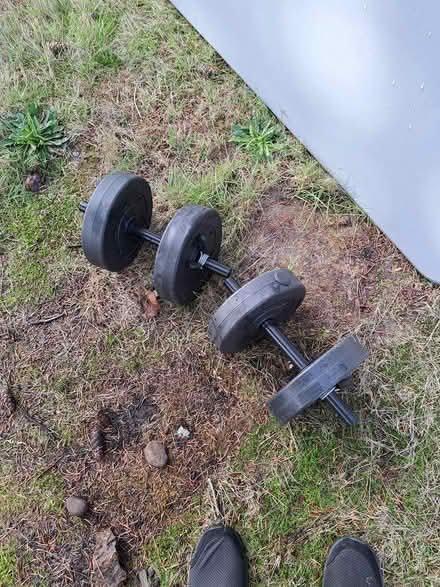 Photo of free Hand weights (Lakewood, near St Clares) #1