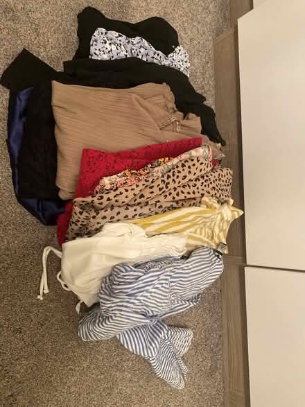 Photo of free Ladies clothes bundle size 12 (PR5 Bamber Bridge) #1