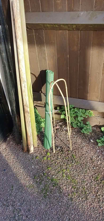 Photo of free Assorted canes, stakes and pea sticks (Broadwater BN14) #1