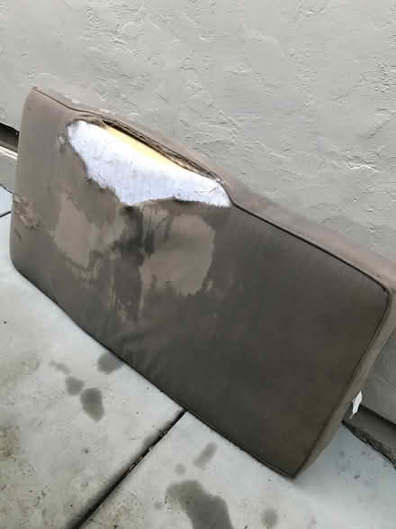 Photo of free 3 things (San Anselmo near Andronico’s) #4