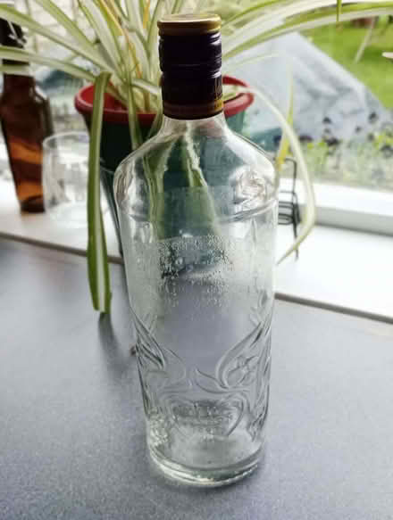 Photo of free Empty decorative gin bottle (Highters Heath B14) #1