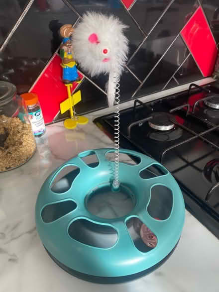 Photo of free Cat toy (Bletchley MK3) #1