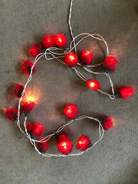 Photo of free Red rose lights (Brixton Hill SW2) #1