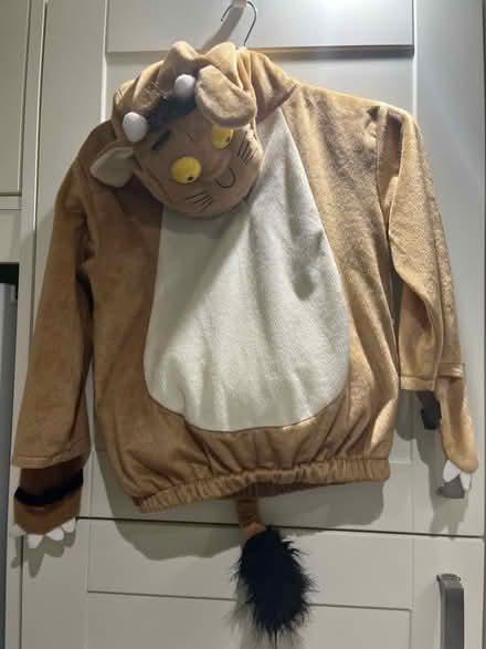 Photo of free Gruffalo and Zog outfits (Claregate WV6) #2