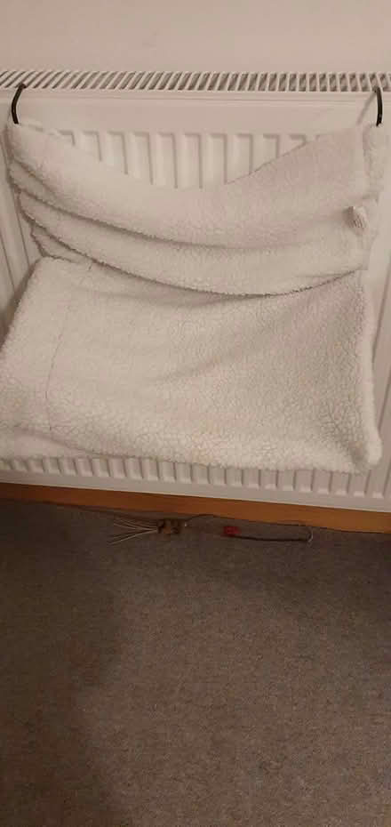 Photo of free cat radiator bed (Hengistbury Head BH6) #1