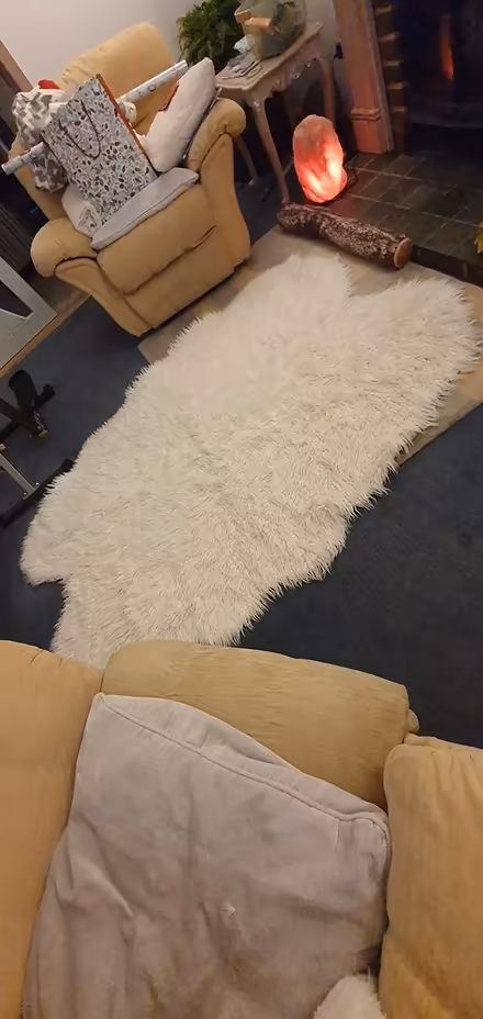 Photo of free fluffy rug (Hengistbury Head BH6) #2