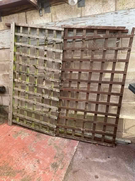 Photo of free Old trellis (Belper DE56) #1