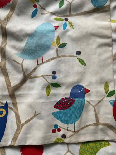 Photo of free Curtains (Beckenham BR3) #3