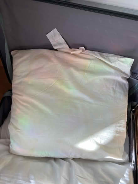 Photo of free Two pillows and one square cushion (Nw3) #2