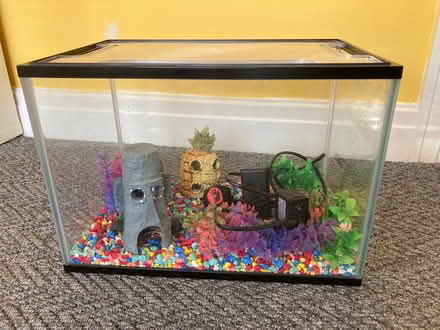 Photo of free Small Fish Tank (Aigburth L19) #1
