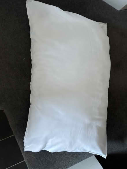 Photo of Feather pillows or cushions (Battersea, SW11) #1