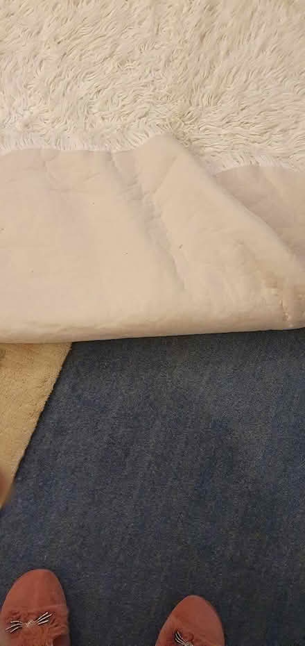 Photo of free fluffy rug (Hengistbury Head BH6) #3