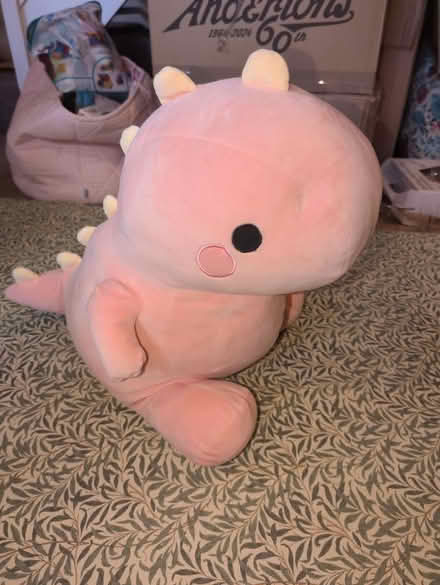Photo of free Pink dinosaur plushie (Goldsworth park , Woking) #2