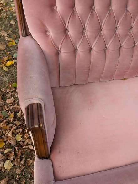 Photo of free Gorgeous pink velvet couch (East York) #2