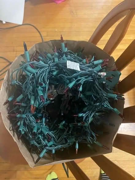 Photo of free Incandescent Light Strings (Fitchburg) #2