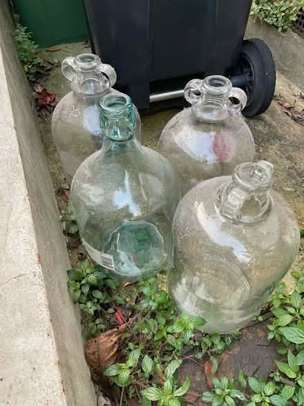 Photo of free 4 used demijohns (Fulham Palace Road W6) #1
