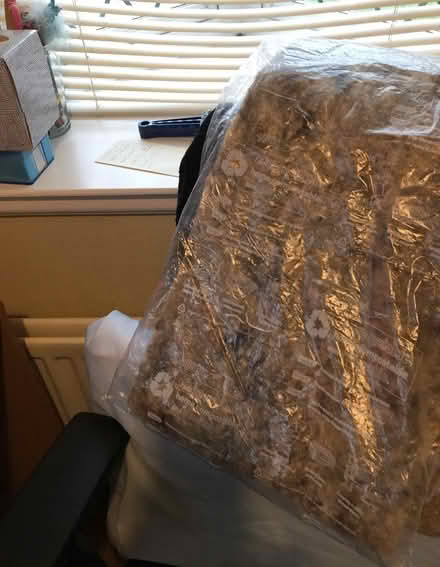 Photo of free Recyclable Wadding (Coney Hall BR4) #3