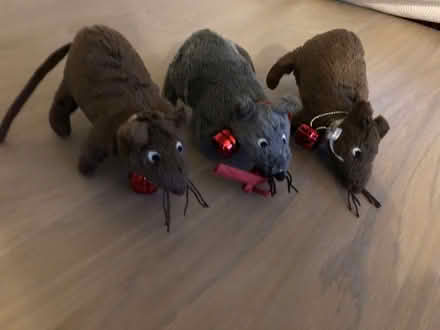 Photo of free Little Christmas mice (Pembury TN2) #1