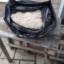 Photo of free Clean wood shavings (Hastings TN34) #1