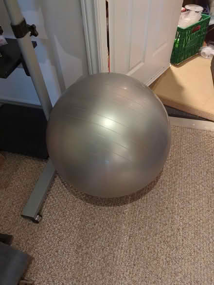 Photo of free exercise ball (North Vanier) #1