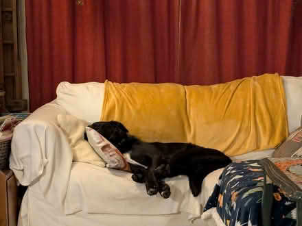 Photo of free Sofa bed (Belper DE56) #4