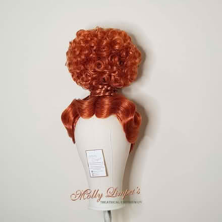 Photo of Dame wig for panto/stage (Steventon OX13) #3