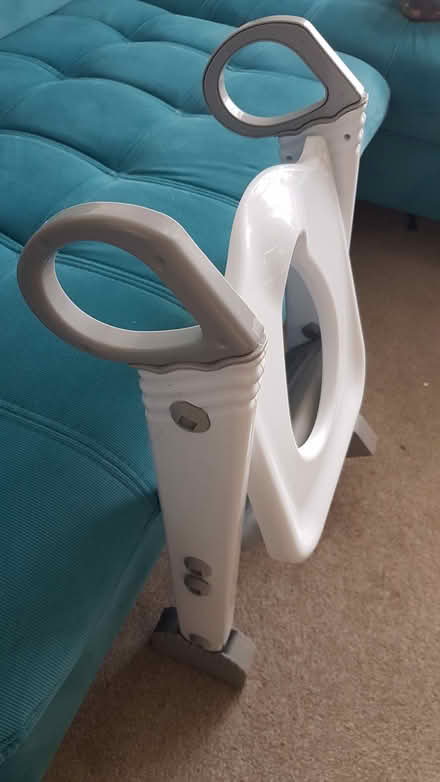 Photo of free Toddler toilet seat (East Grinstead RH19) #3