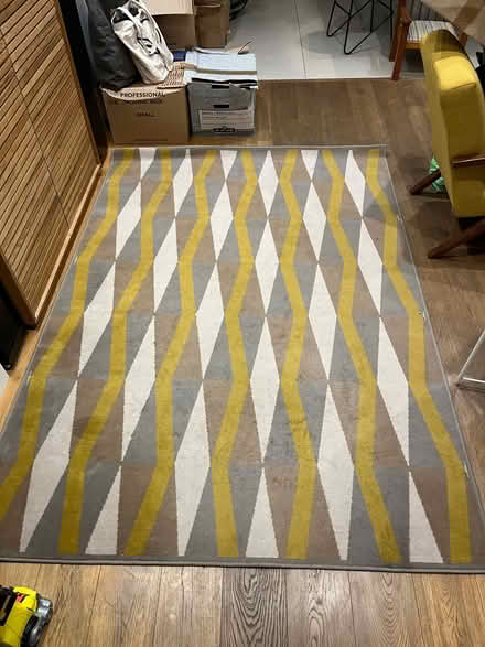 Photo of free Large indoor rug (W7 3JG) #1