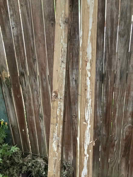 Photo of free Leftover wood (Hill East) #2