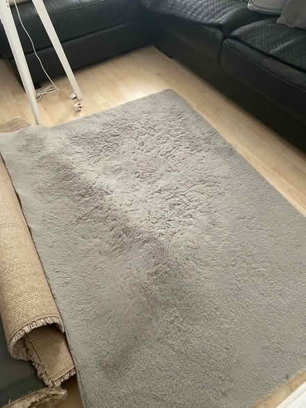 Photo of free Rug (Southfields SW18) #1