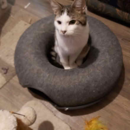 Photo of Hi is anyone gifting slow cooker (Shropshire) #1