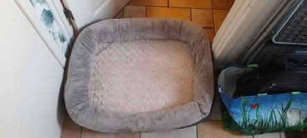 Photo of free Orthopedic Dog Bed (Chopwell NE17) #1