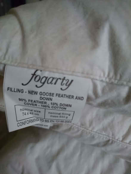 Photo of free Feather pillows (Chatham ME4) #2
