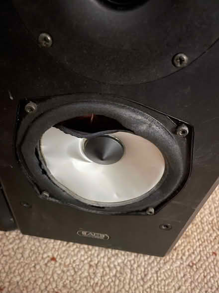 Photo of free Acoustic Energy Speakers (Maryland E15) #2