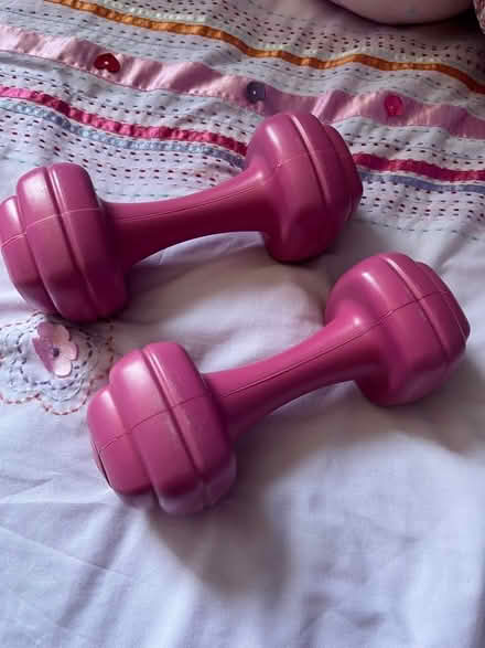 Photo of free Weights (Southborough BR2) #1