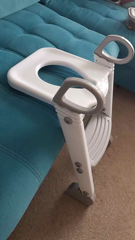 Photo of free Toddler toilet seat (East Grinstead RH19) #1