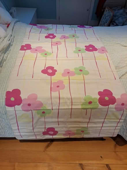 Photo of free Roman blinds (Teddington TW11) #1
