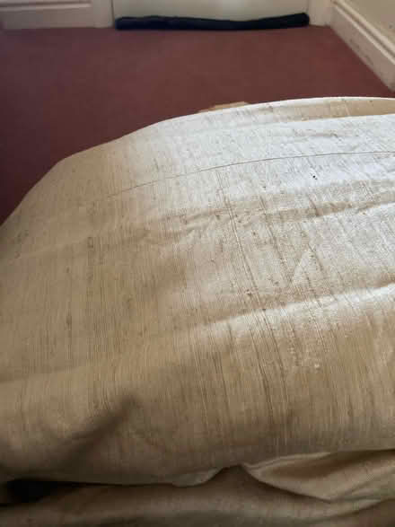 Photo of free Large curtains (Warndon Worcester WR4) #1