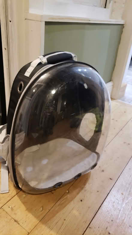 Photo of free Pet bag (TN38) #1