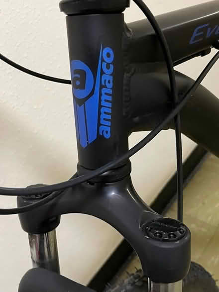 Photo of free Large bike (Southborough BR2) #3
