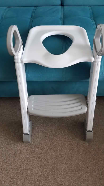 Photo of free Toddler toilet seat (East Grinstead RH19) #2