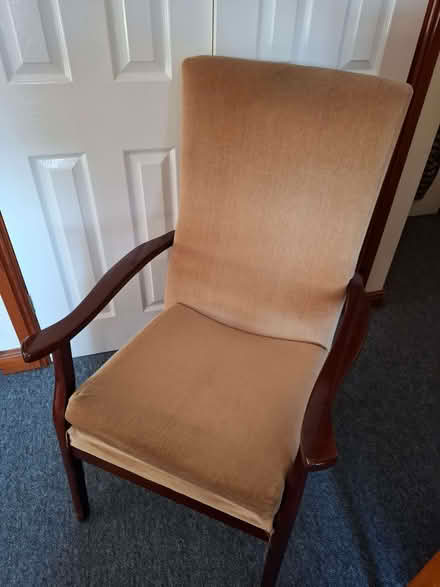 Photo of free Pair of chairs, wooden arms, buff velour upholstery. (Whitton LD7) #1