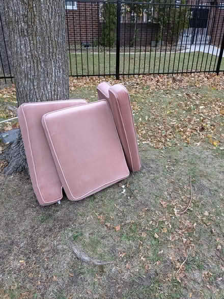 Photo of free Cushions - pink couch (East York) #1