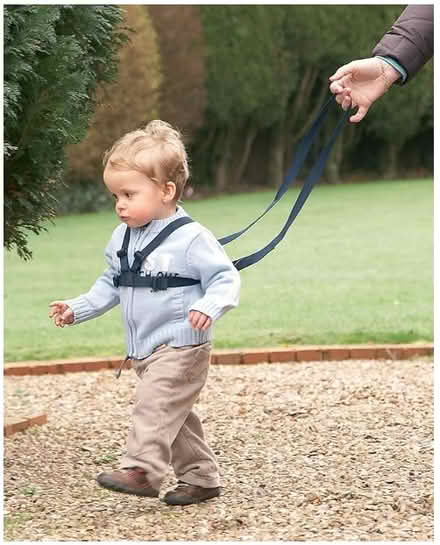 Photo of free Clippasafe Walking Harness (Mitcham CR4) #2