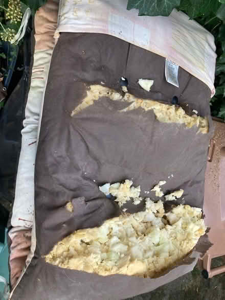 Photo of free Cushion stuffing (Kennington OX1) #1